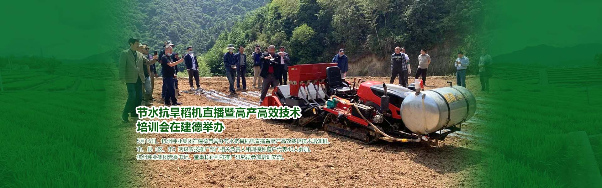 节水抗旱稻机直播暨高产高效技术 培训会在建德举办